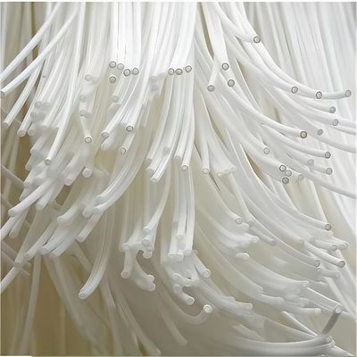Purificazione dell'acqua personalizzabile NIPS/TIPS Membrana di fibra cava PVDF per il trattamento delle acque reflue